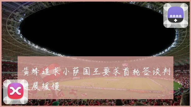 黄蜂追求小萨国王要求首轮签谈判进展缓慢